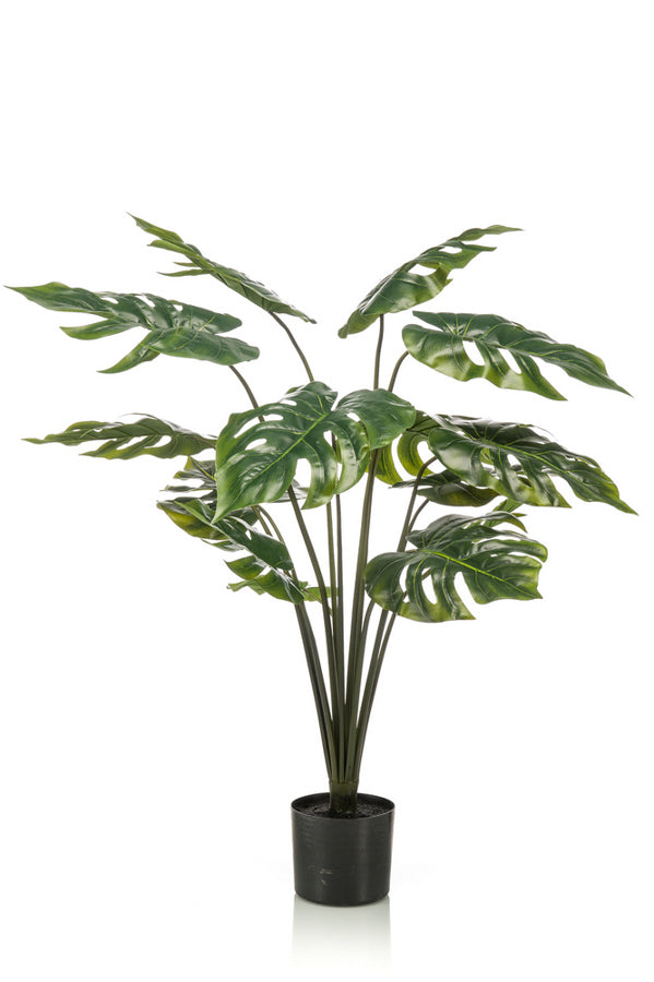 Monstera plante 95 cm
