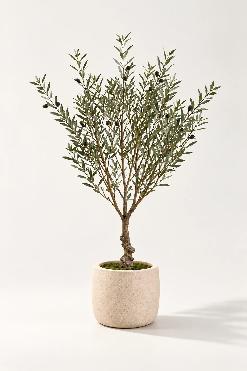 UV oliventre 90 cm