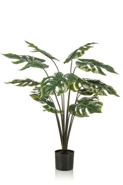 Monstera plante 95 cm