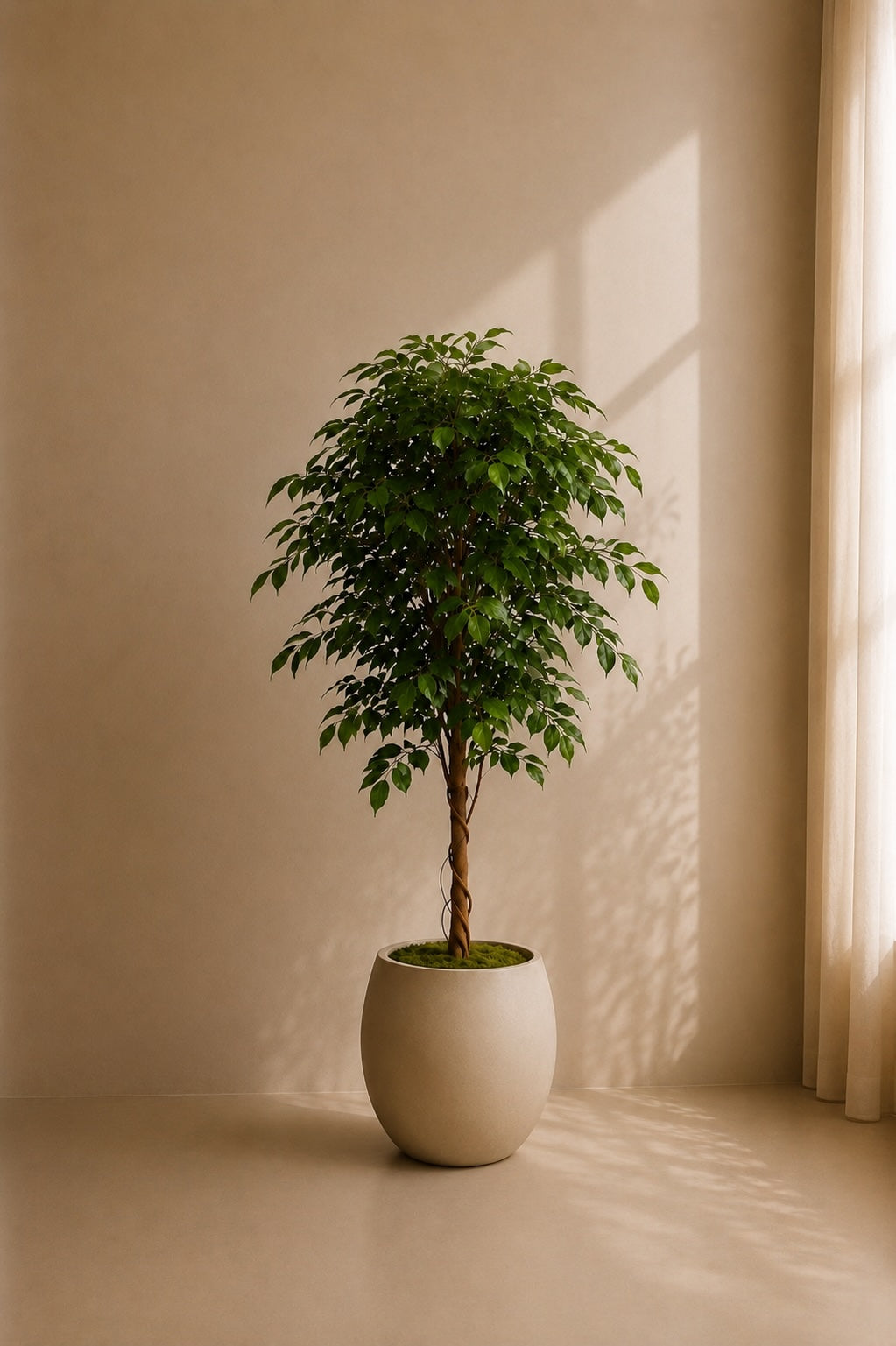 Fikentre Deluxe 140 cm