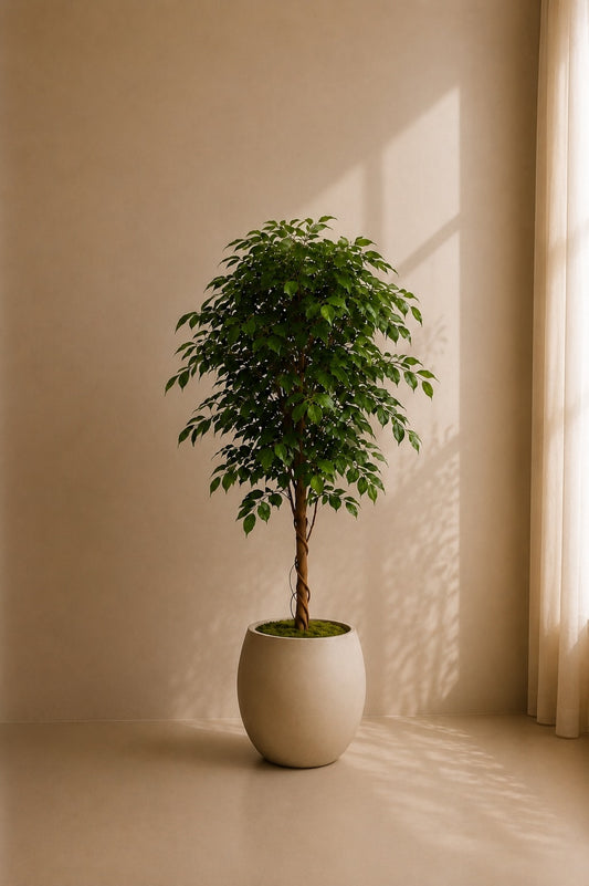 Fikentre Deluxe 140 cm
