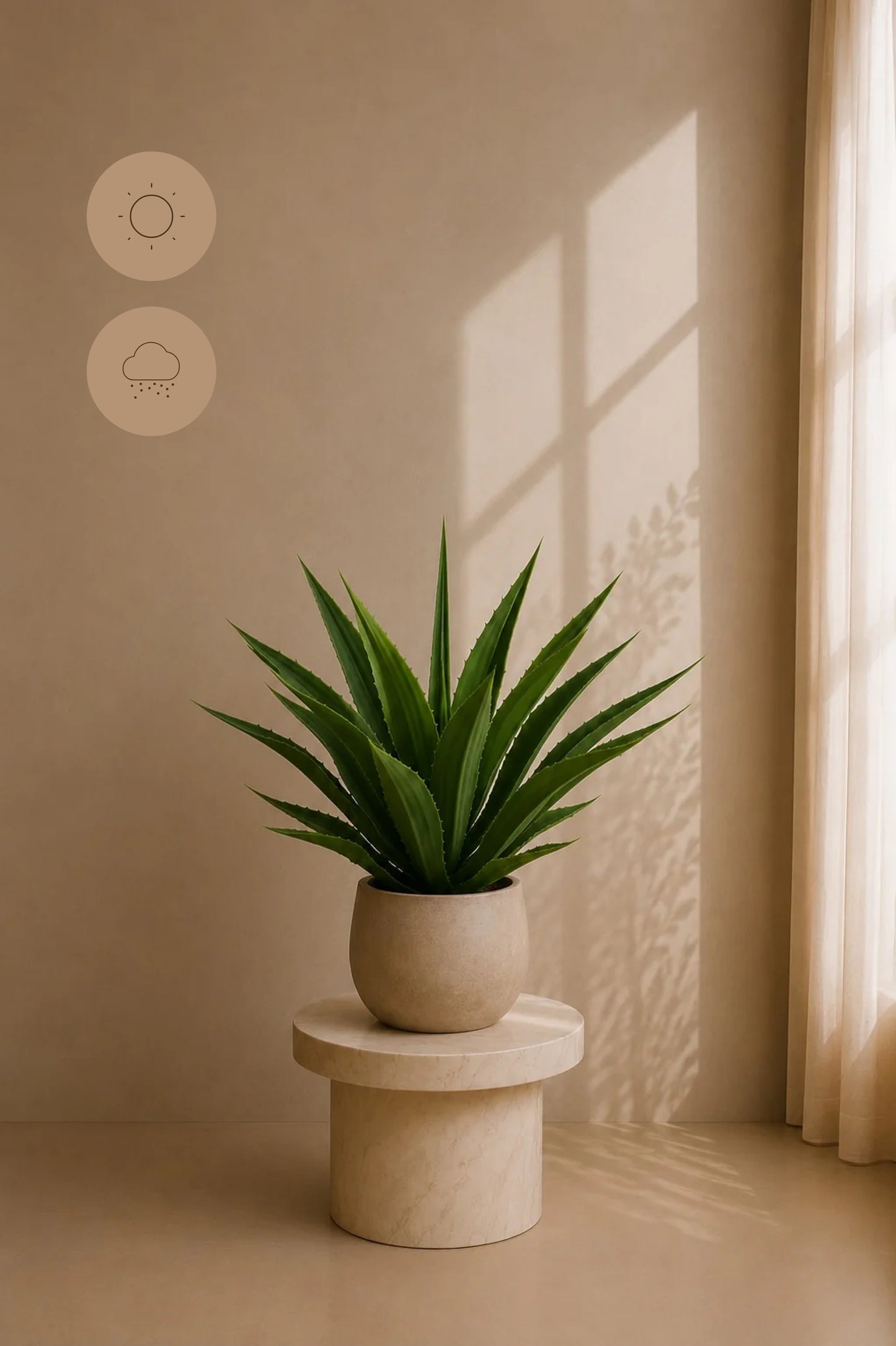 Agave UV i potte 70 cm