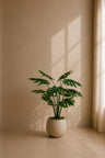 Monstera plante 95 cm