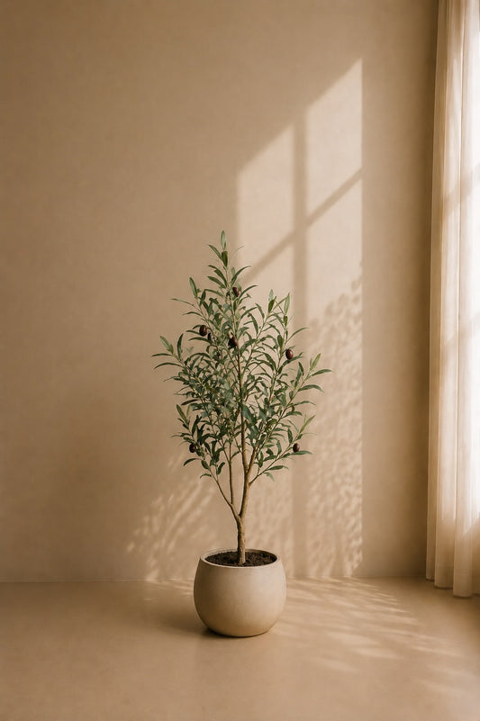 Oliventre 90 cm