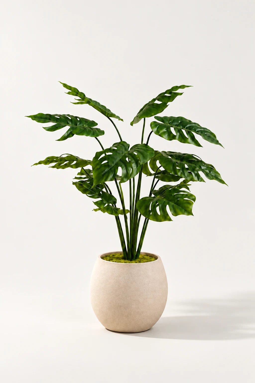 Monstera plante 95 cm