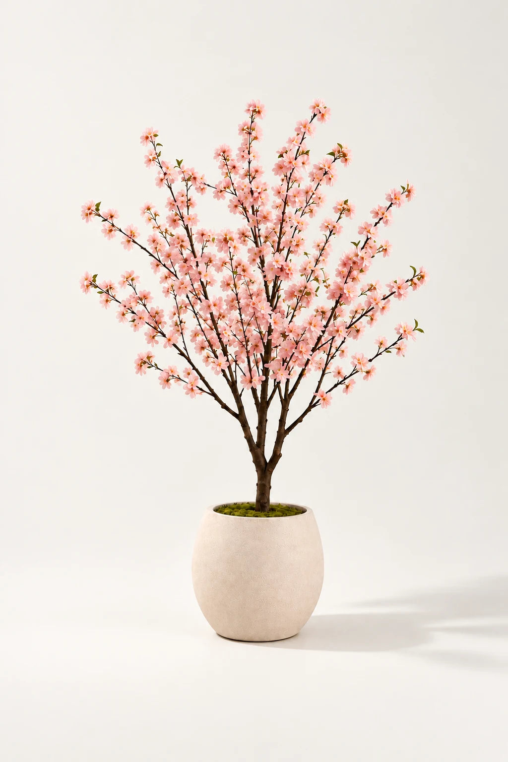Rosa kirsebærtre 135 cm